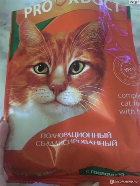 Корм для кошек PROХВОСТ сухой, с курицей - «Сухой бюджетный корм для ...