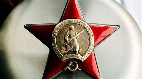 Поисковики обнаружили останки кавалера ордена Красной звезды в ...