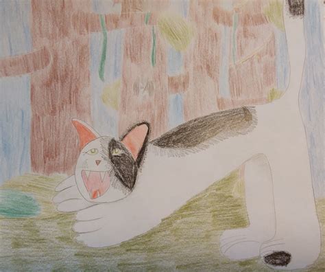time   forest warrior cats