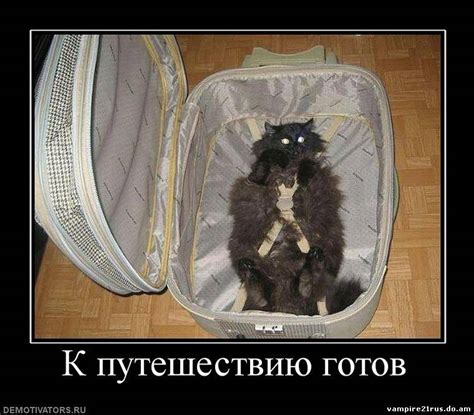 Приколы про путешествия (38 фото) 🔥 BipBap.ru