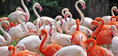 10+ family friendly attractions | Latvia Travel
