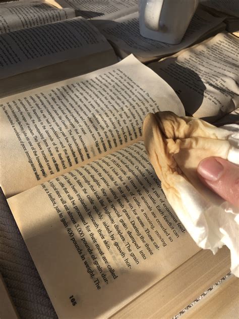 DIY Book Wall Art - Living with Lady