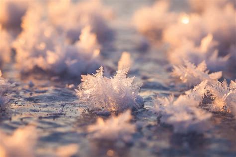 ice flowers wallpaper  ice flowers frozen window stock