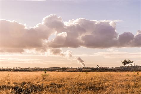 Air pollution: New figures reveal extent of problem, but ten ...