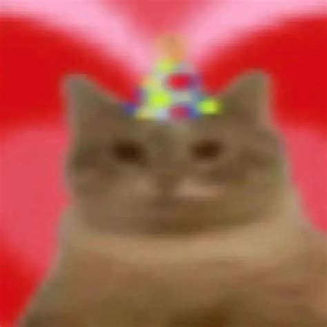 戴着彩色生日帽的猫咪，表情呆萌可爱，氛围喜庆 万能回复表情包表情包图片gif动图 - 求表情网,斗图从此不求人!
