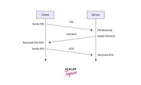 Html Tcp Socket Example at Neal Marquez blog