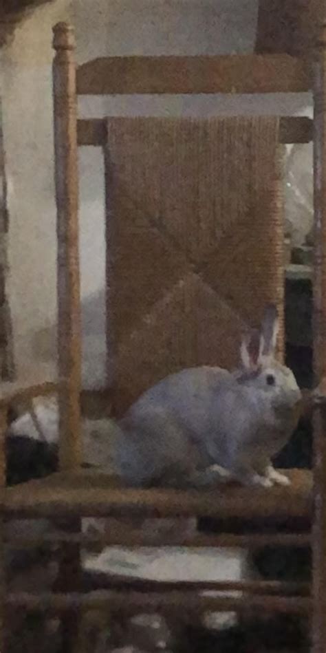 Image dump of pic of my girl Ashley. (Don’t want to use her to farm