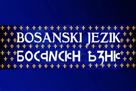GRAMATIKA BOSANSKOG JEZIKA PDF