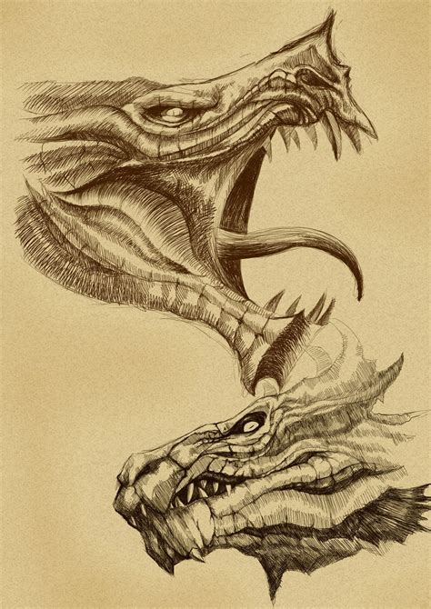 Скетч дракон (много фото) - drawpics.ru