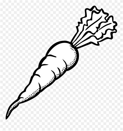 Clipart Carrot Outline Images - Carrot Black And White Clipart - Png ...