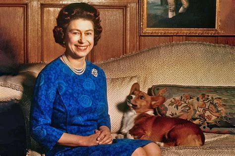 Queen Elizabeth's Corgis: What Happened to Them?