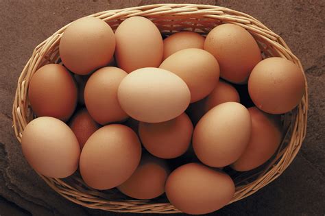 How Much Protein In An Egg? | Healthy Eating | SF Gate