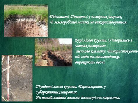 "Біосфера та ґрунти" презентація
