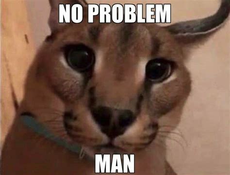 problem floppa cat memes cats funny animals