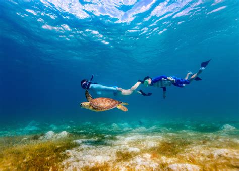 AirAsia Launches New Route To Okinawa & This Subtropical Japanese