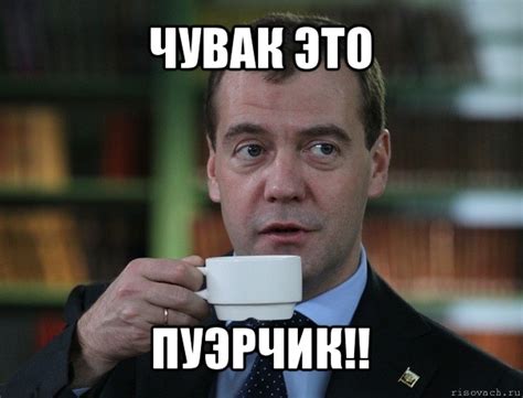 чувак это пуэрчик!!, Мем Медведев спок бро - Рисовач .Ру