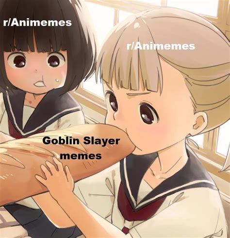 Goblin Slayer memes everywhere : r/Animemes