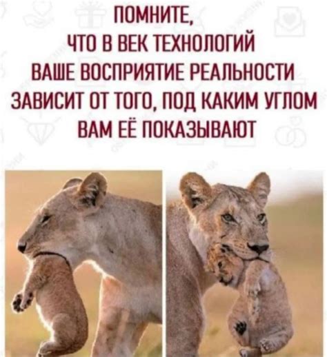 Разное: goblin_books — LiveJournal