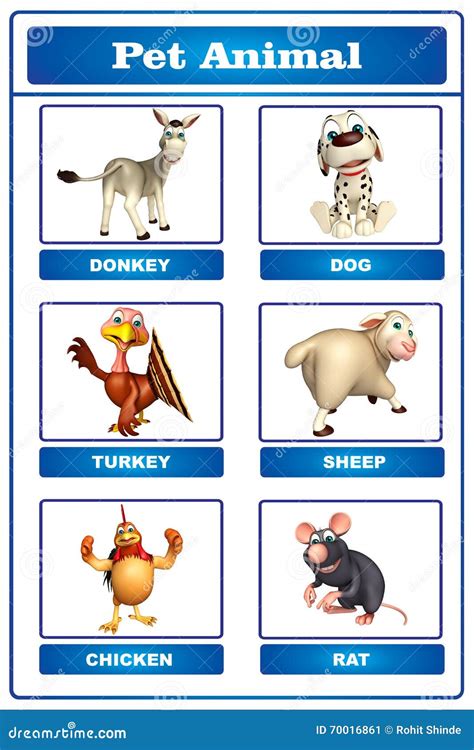 Pet animal chart stock illustration. Illustration of nature - 70016861