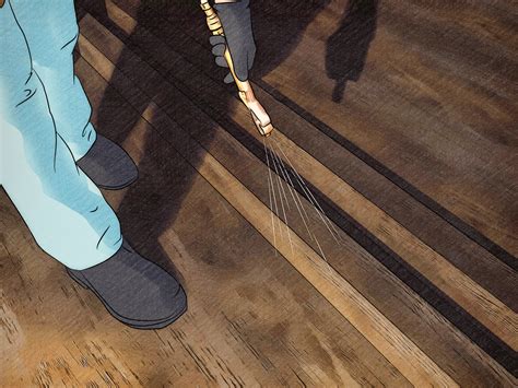 Signs Of Carpenter Ant Damage