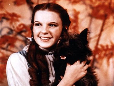 Dorothy And Toto