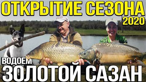 Открытие Карпового Сезона. Карп на Флэт кормушки . "Золотой Сазан ...
