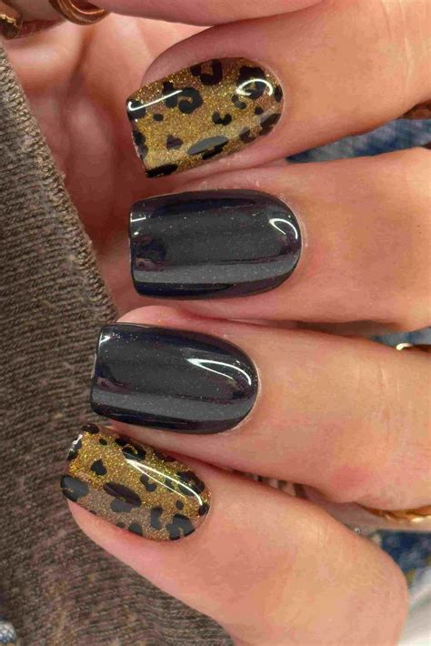 florida landscape ideas