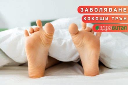 Кокоши трън - Здравитал