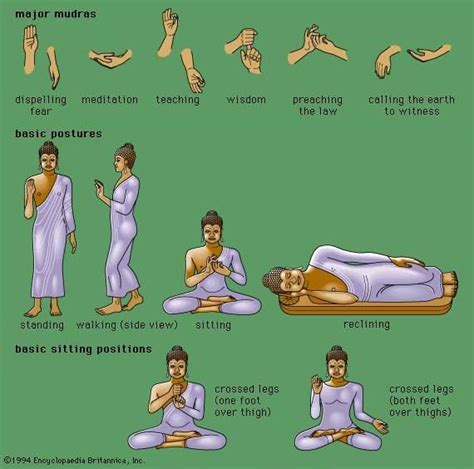 Buddha's postures and their meanings | Mudras, Buddhism, Mudras meanings