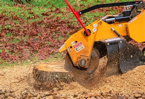 The Benefits of Professional Tree Stump Removal | Complete Tree Care