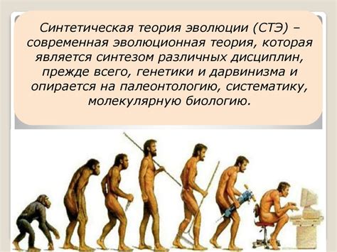 Синтетическая теория эволюции - презентация онлайн