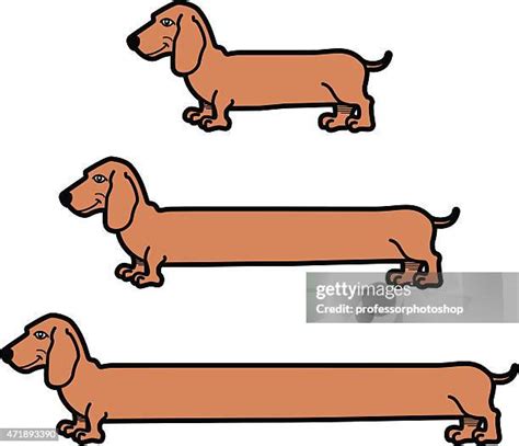 Weiner Dog Cartoons Photos and Premium High Res Pictures - Getty Images