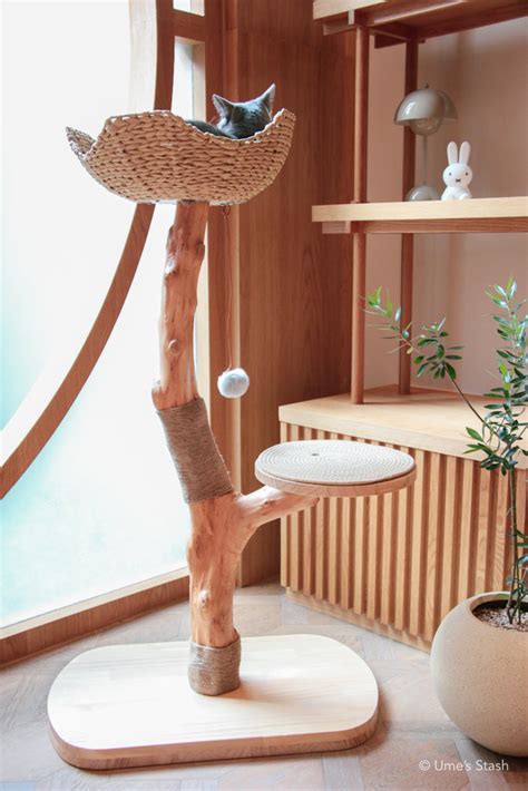 solid wood spruce cat tree ver  upgraded natural  modern ume