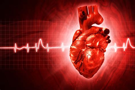 Prevention of Arrhythmia |Arrhythmia Prevention | Preventing Arrhythmia ...