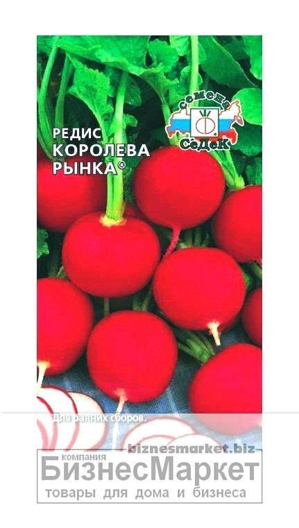 Семена Редис КОРОЛЕВА РЫНКА 3гр СЕДЕК