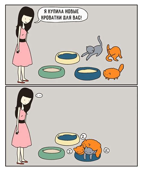 Комиксы про котов