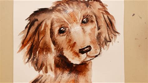 Рисунок "СОБАКА🐕" акварельными красками|Как нарисовать собачку - YouTube