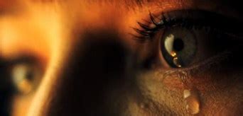 THE DIVIDE (2011) Movie Poster | FilmBook