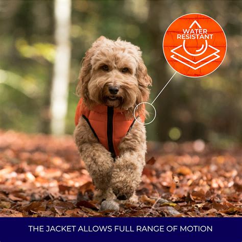 Green and Navy Dog Puffer Jacket – Hugo & Hudson London