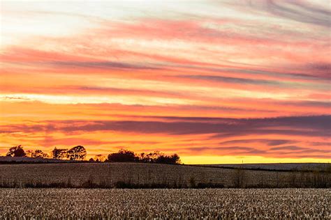 50+ Iowa Cornfield Sunset Stock Photos, Pictures & Royalty-Free Images ...