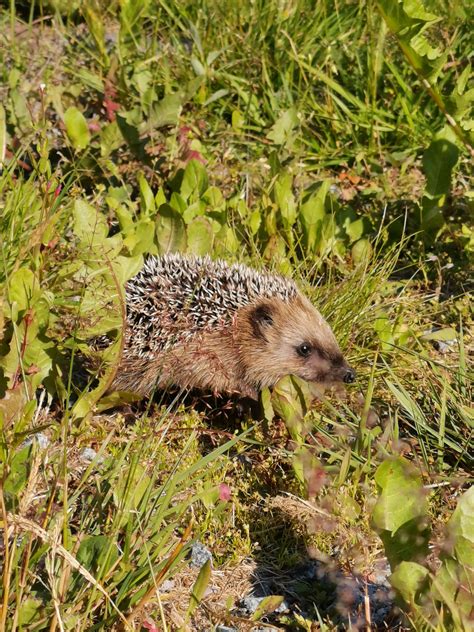 SUKiSUKi. (u/sukisukigirl) - Reddit