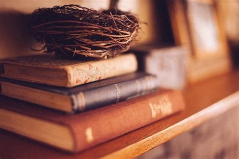 Безкоштовна картинка: мудрість, літератури, знання, книги, освіти ...