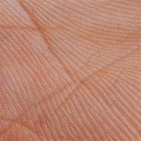 guarding  skin barrier babylonobservercom