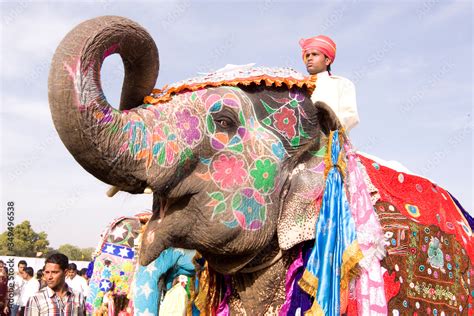 India Elephant Festival