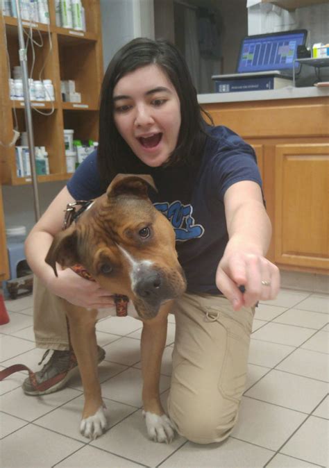 Pet Gallery - East Springfield Veterinary Hospital | Western Massachusetts