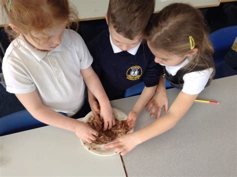 Animal 'Poo | Bramham Primary School