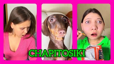 ВСЕ ПОТОЛСТЕЛИ???😭🐶 - YouTube