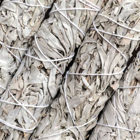 Каліфорнійська БІЛА ШАВЛІЯ (White Sage) – Ananda Incense