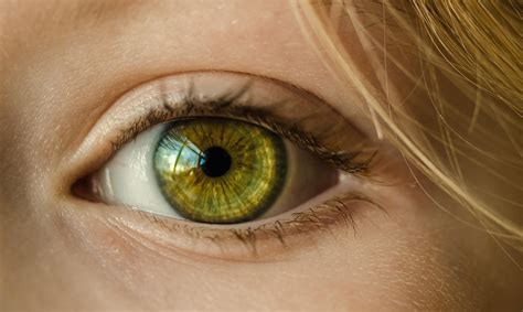 Hands Eyes Bullet - Free photo on Pixabay - Pixabay