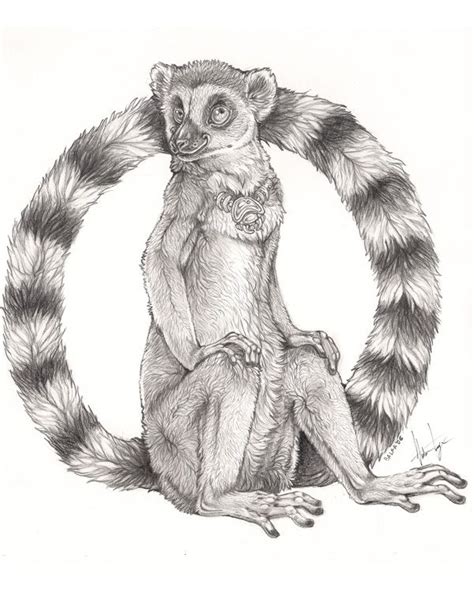 The Lemur King by balaa on DeviantArt | Lemur, Animal coloring pages ...